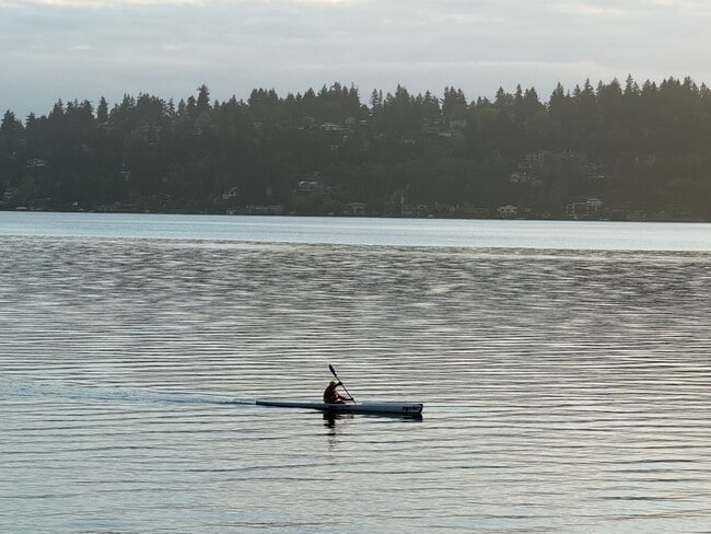 Photo - Lake Front House Seward Park