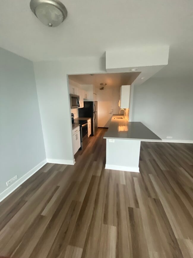 1160 S Michigan Ave Unit 3601