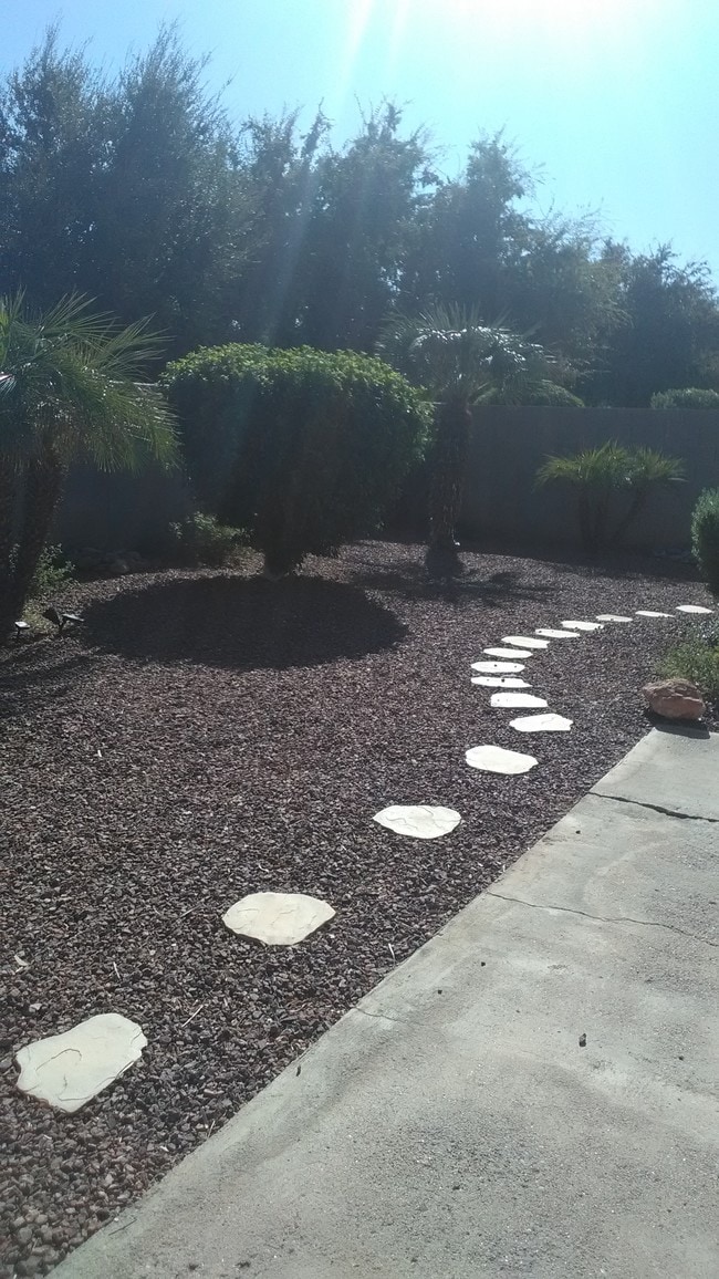 Rear yard - 1671 N Garrett Dr