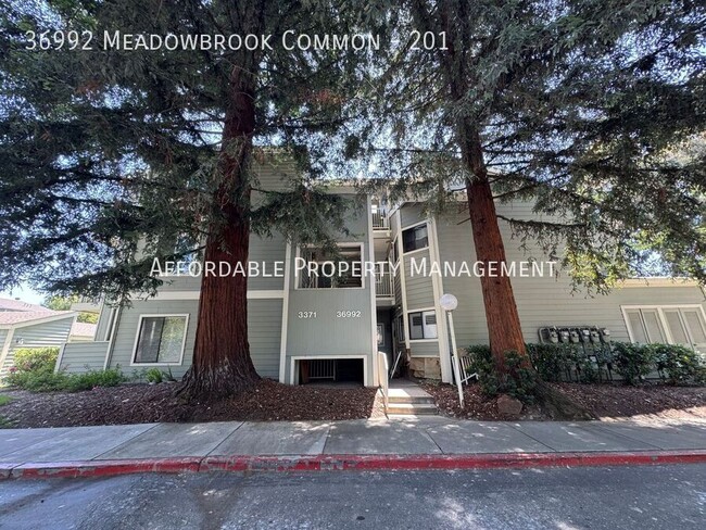Photo - 36992 Meadowbrook Common Unidad 201 Rental