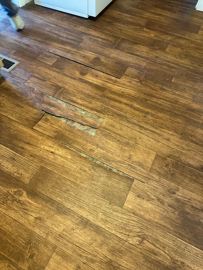 Photo - 2 bedrooms, 1 bath on large lot with garage