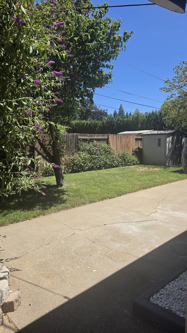 Photo - 888 Glenn St
