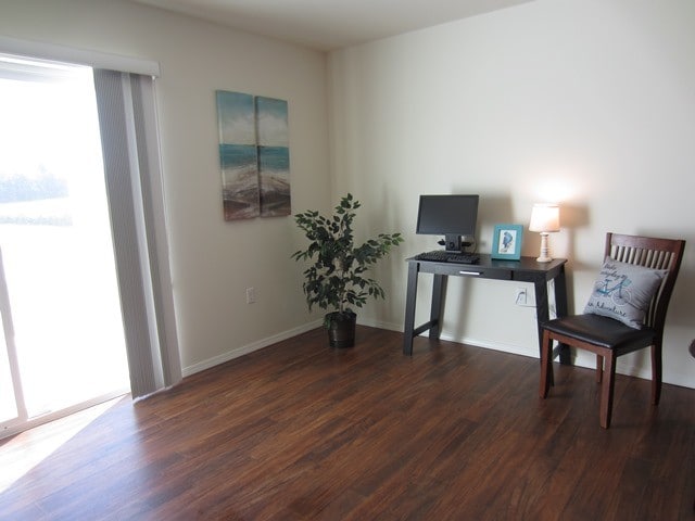 Living Room - Phase II
