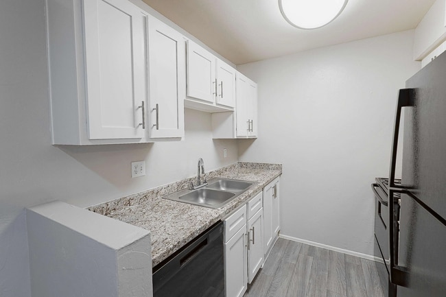 1x1jr-Palomino-KITCHEN.png - Palomino Crossing