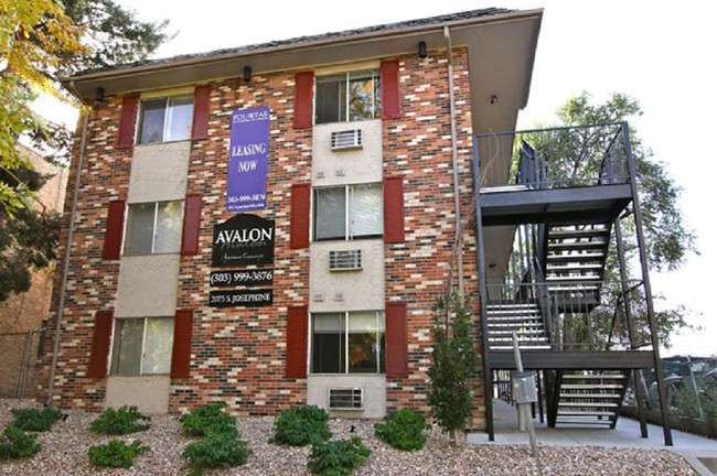 The Avalon - The Avalon Apartments