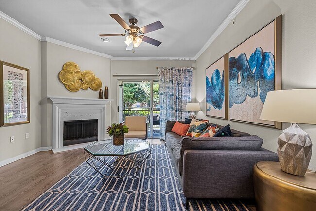 Photo - Brooks on Preston