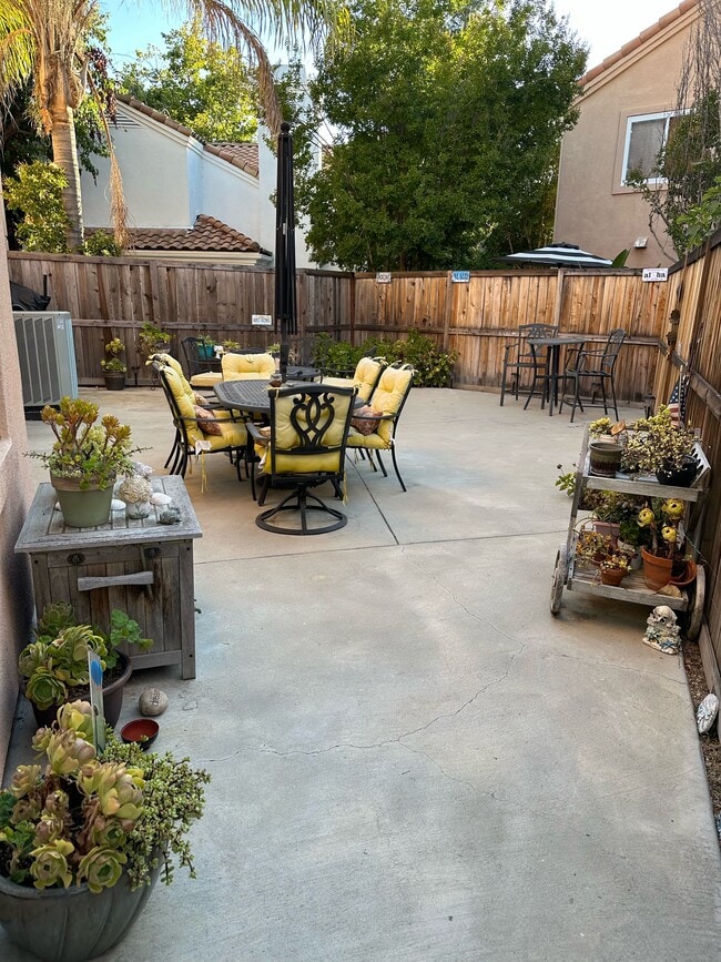Backyard - Northside