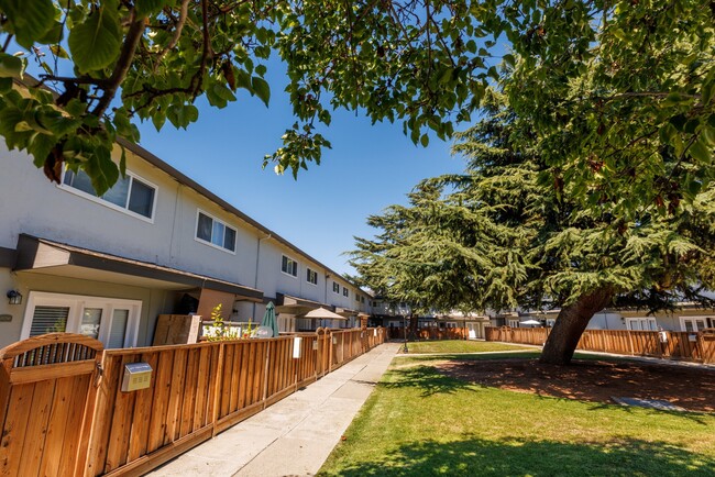 Washington Townhomes