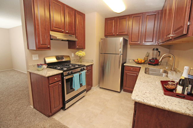 Village at Fair Oaks - Village at Fair Oaks Apartamentos