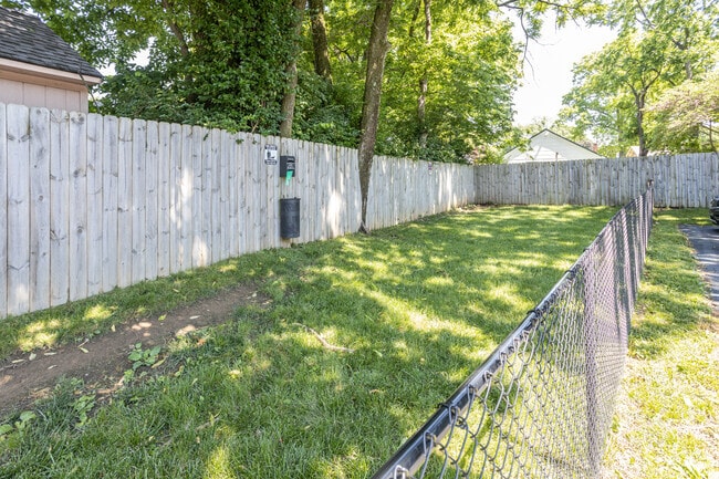 Pet Play Area - The Axis at 1435