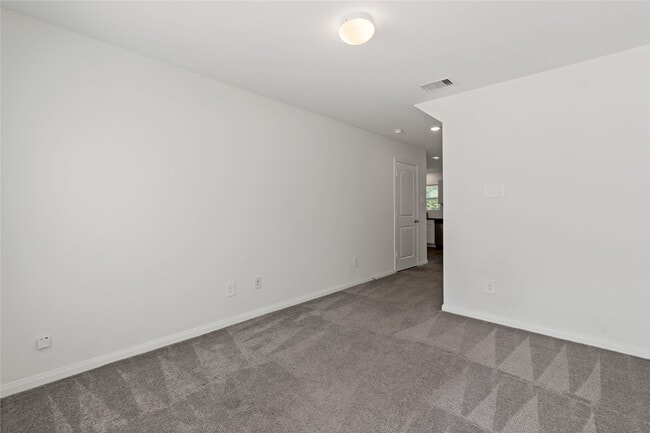 Photo - 264 Pin Oak