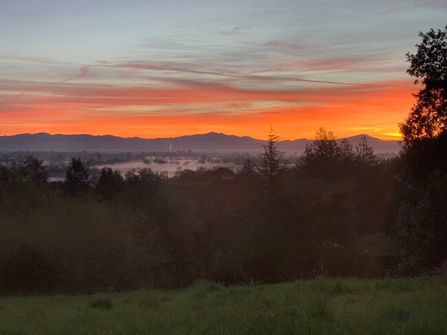 Photo - 7605 Atkinson Rd