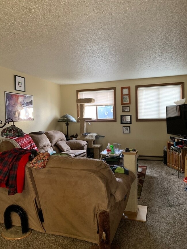 Photo - Water/Sewer/Trash Included - Large Two Bedroom One Bath In North Loveland! Easy Access to HWY 287!