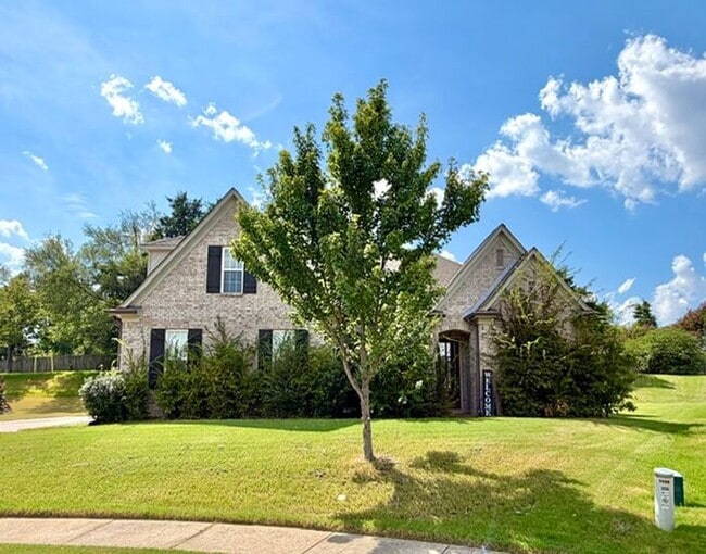 Building Photo - Now Leasing 4 Bedroom 3 Bath Home In Southeast Memphis off of Riverdale.
