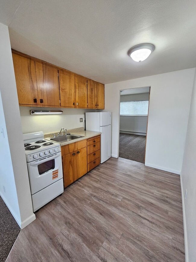 Photo - Newly Renovated One Bedroom Apartment- FREE rent for the month of July! Unit 615 S. Alder St #08