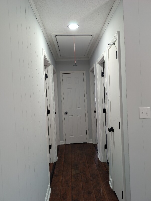 Photo - 823 Easter St