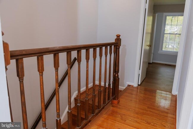 Photo - 5631 Hogenhill Terrace