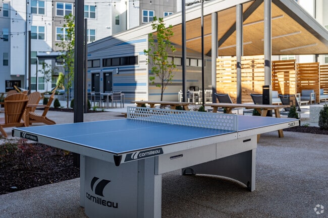 Outdoor Game Area - The Davy