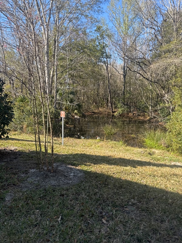 Photo - 1607 Cluny Rd