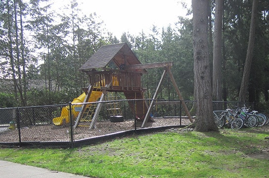 Photo - Z_Norwegian Wood