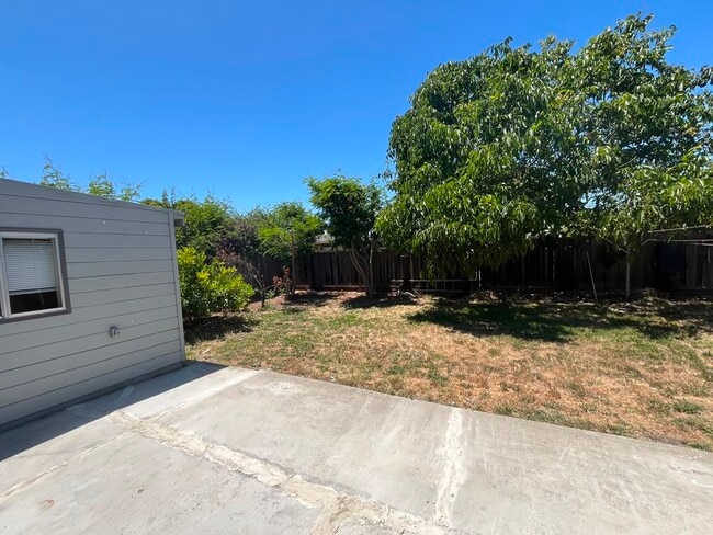 Photo - 589 Manzanita Ave