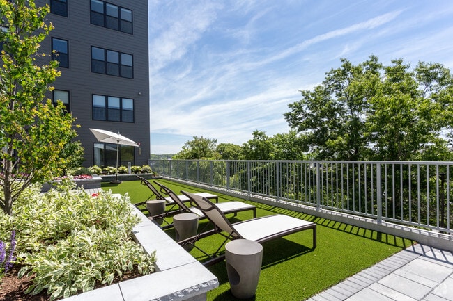 Sun Deck