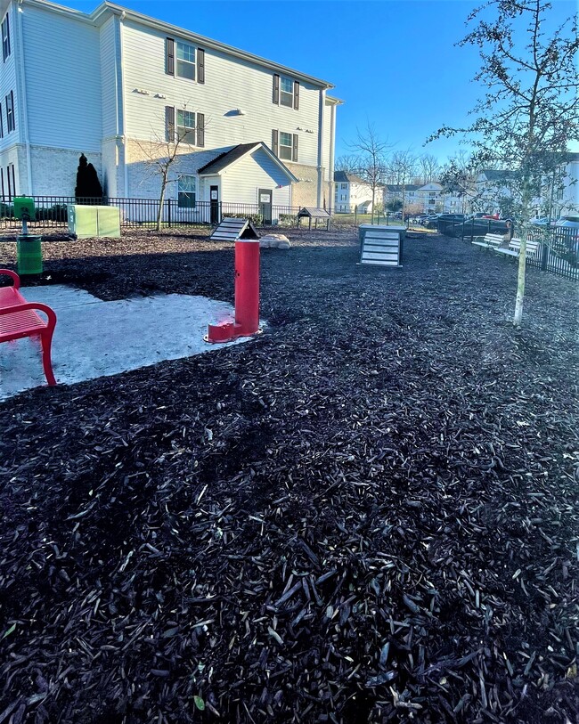 Dog Park