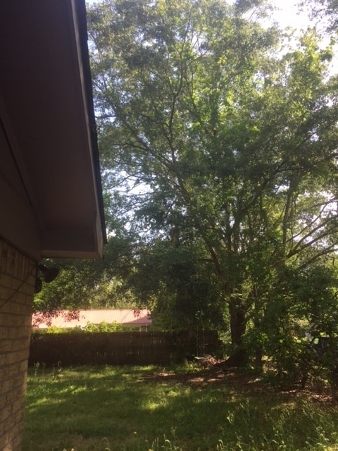 Building Photo - Adorable Three Bedroom Home