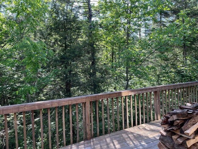 Photo - 191 Forest Mountain Rd