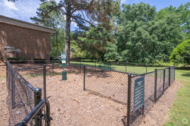 Dog Park