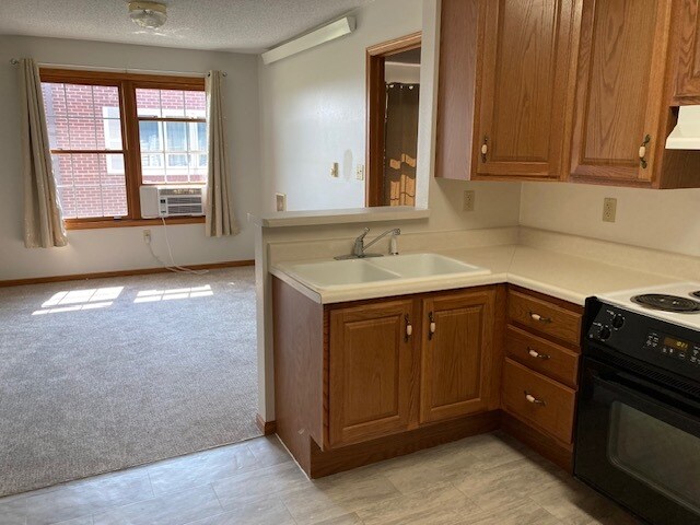 Photo - Woodland Park - Griswold