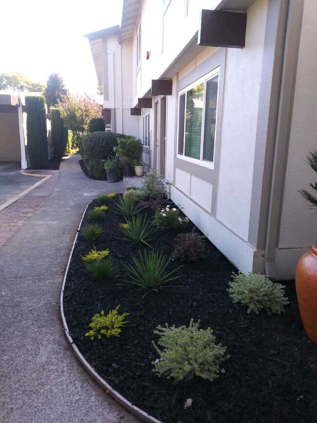 Photo - Plaza Del Sol Town Homes