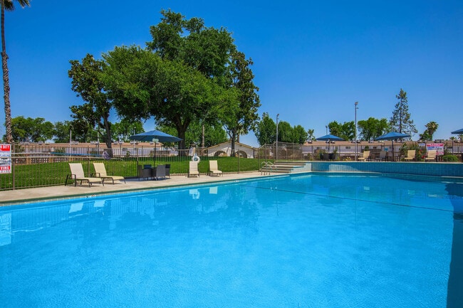 Photo - Crystal Tree