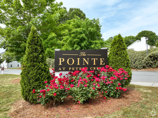 Welcome to The Pointe at Peters Creek - The Pointe at Peters Creek Apartments