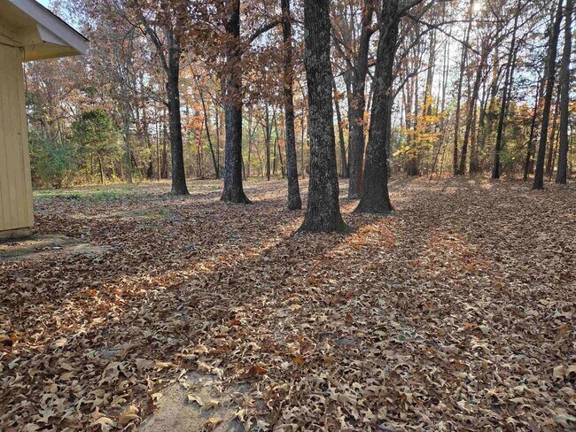 Photo - 156 Pottawattamie Dr