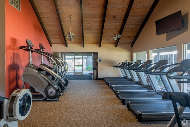 Gimnasio