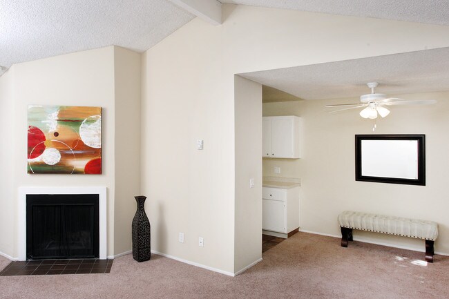 Photo - Central Park