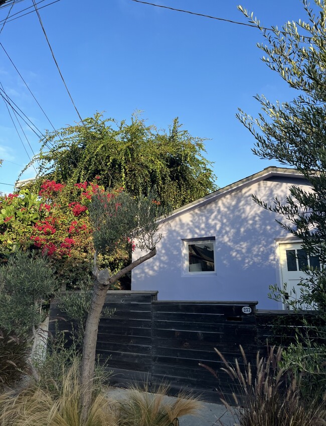 Building Photo - 237 San Juan Ave