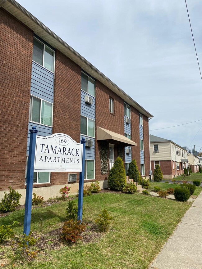 Tamarack Apartments - Tamarack Apartments