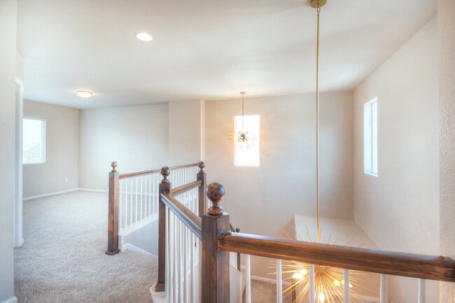 Photo - 11578 Black Maple Ln