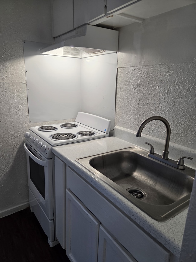 20250728_091623.jpg - Turtle Dove 1