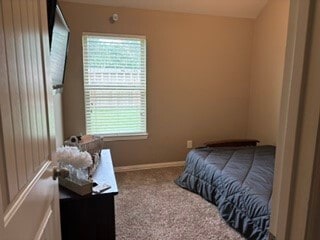 Photo - 16627 Fiesta Rose Ct