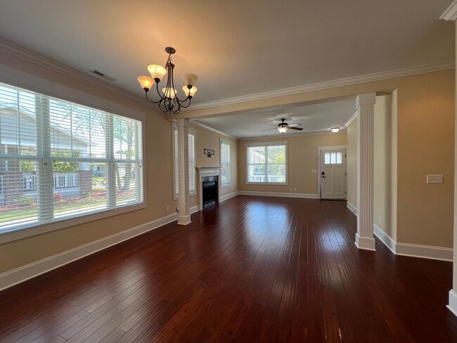 Photo - Absolutely Adorable!