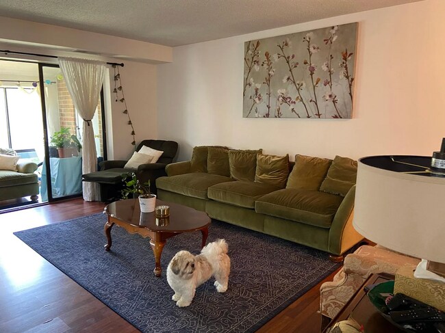 10222 Bushman Dr Unit 8124