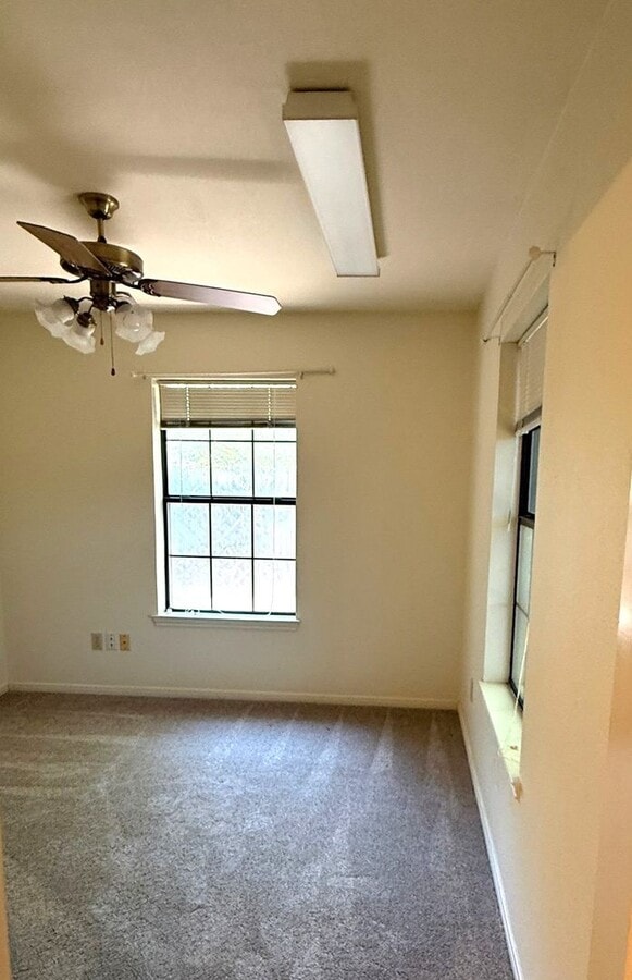 Photo - 137 Cibolo Creek Dr