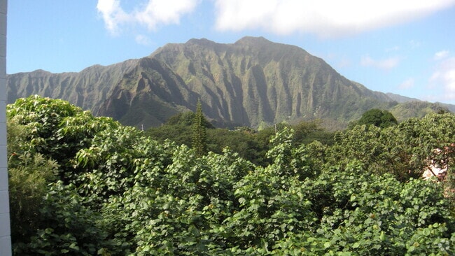 Building Photo - Lovely Windward Acres Rental