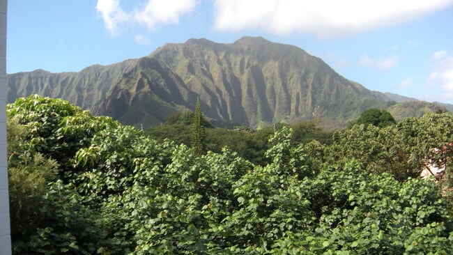 Building Photo - Lovely Windward Acres Rental