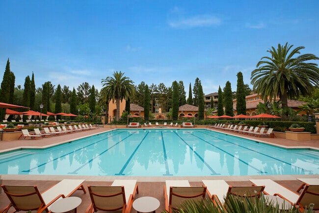 Newport Bluffs Apartment Village