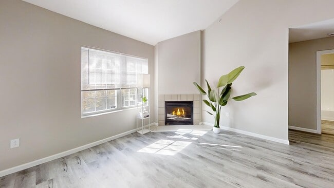 Photo - The Manchester Apartment Homes