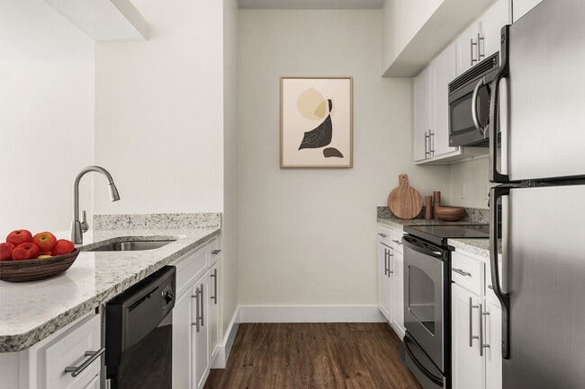 C200580 Lakeside Villas (Dallas)_VS Stills_1B1B_Kitchen - Lakeside Villas (Dallas)